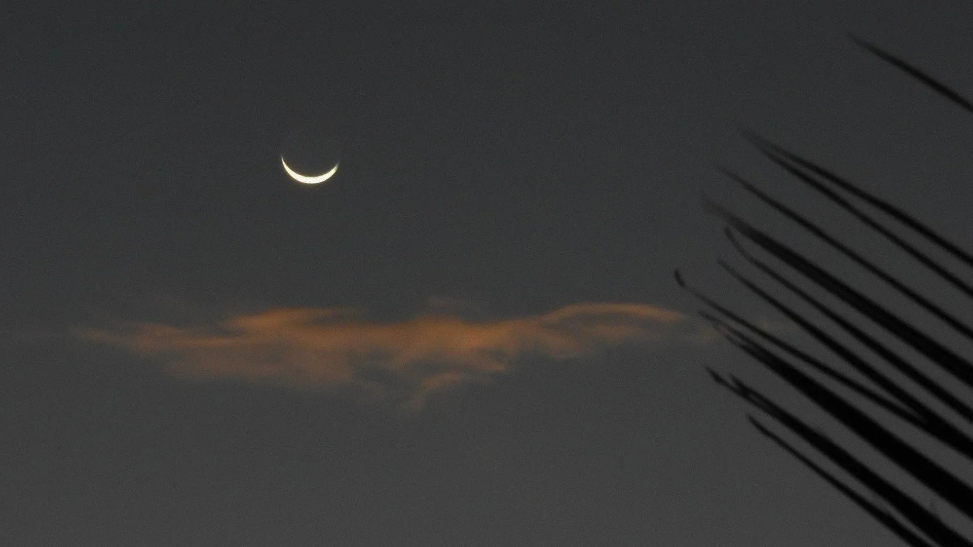 New Moon Solar Eclipse in Taurus