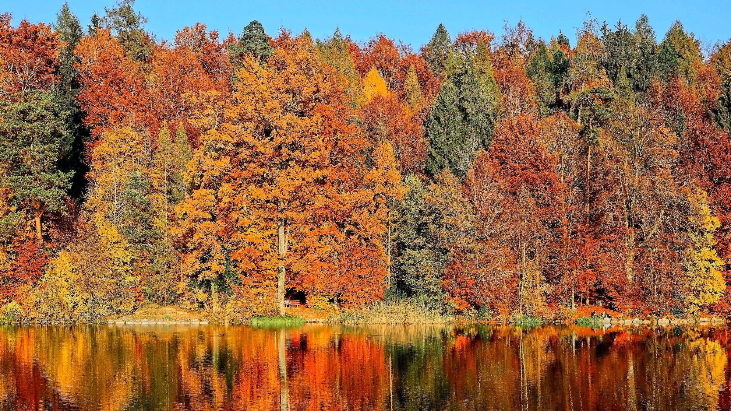 How to Celebrate the Fall Equinox