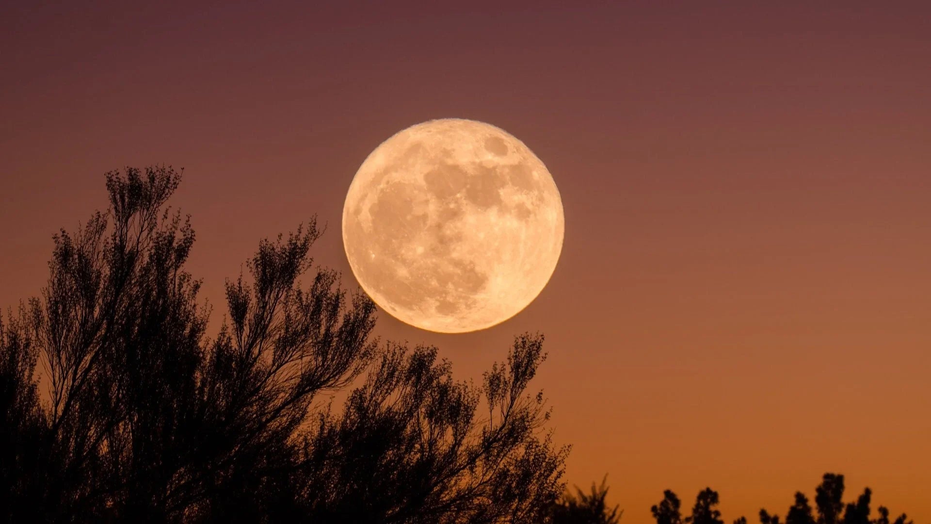 Full Moon in Aries
