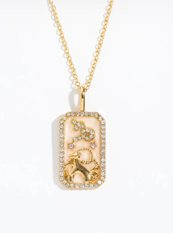 Capricorn Astrological Zodiac Tarot Card Necklace