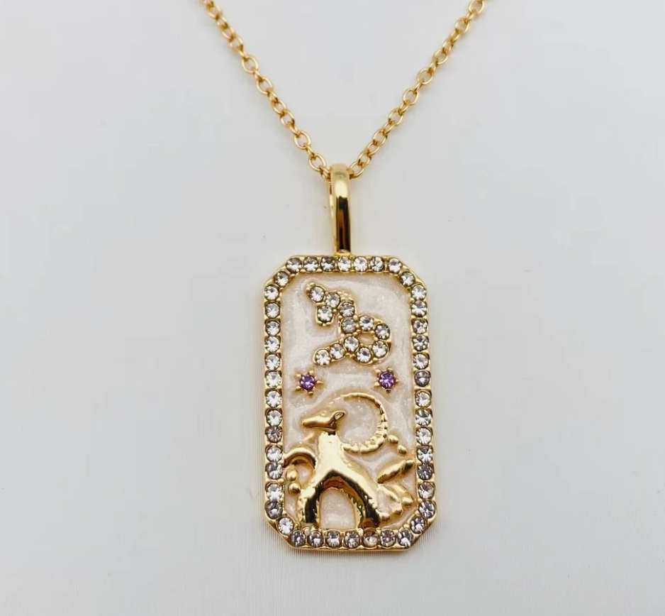Capricorn Astrological Zodiac Tarot Card Necklace up Close