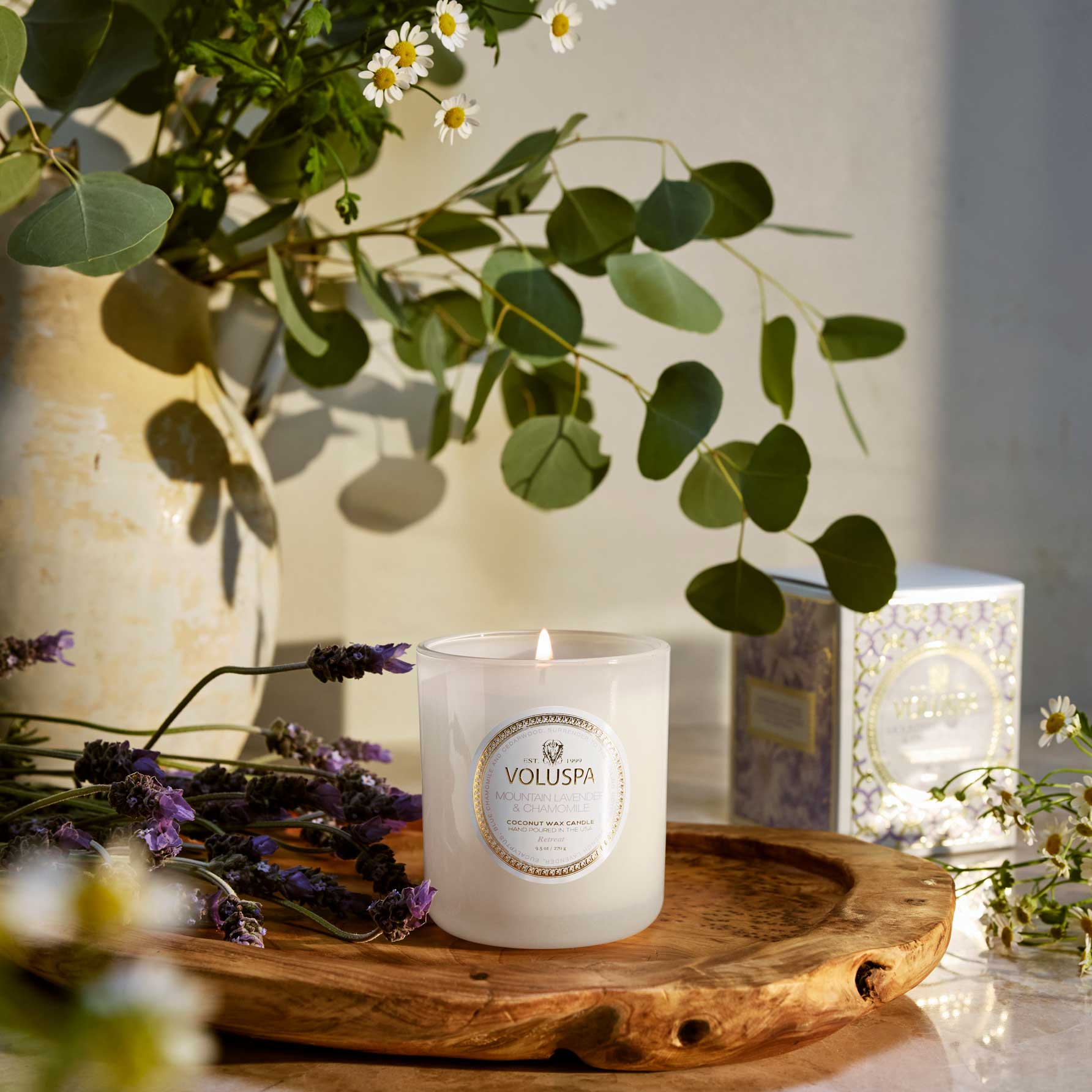 Mountain Lavender and Chamomile Classic Candle 9.5 oz with background