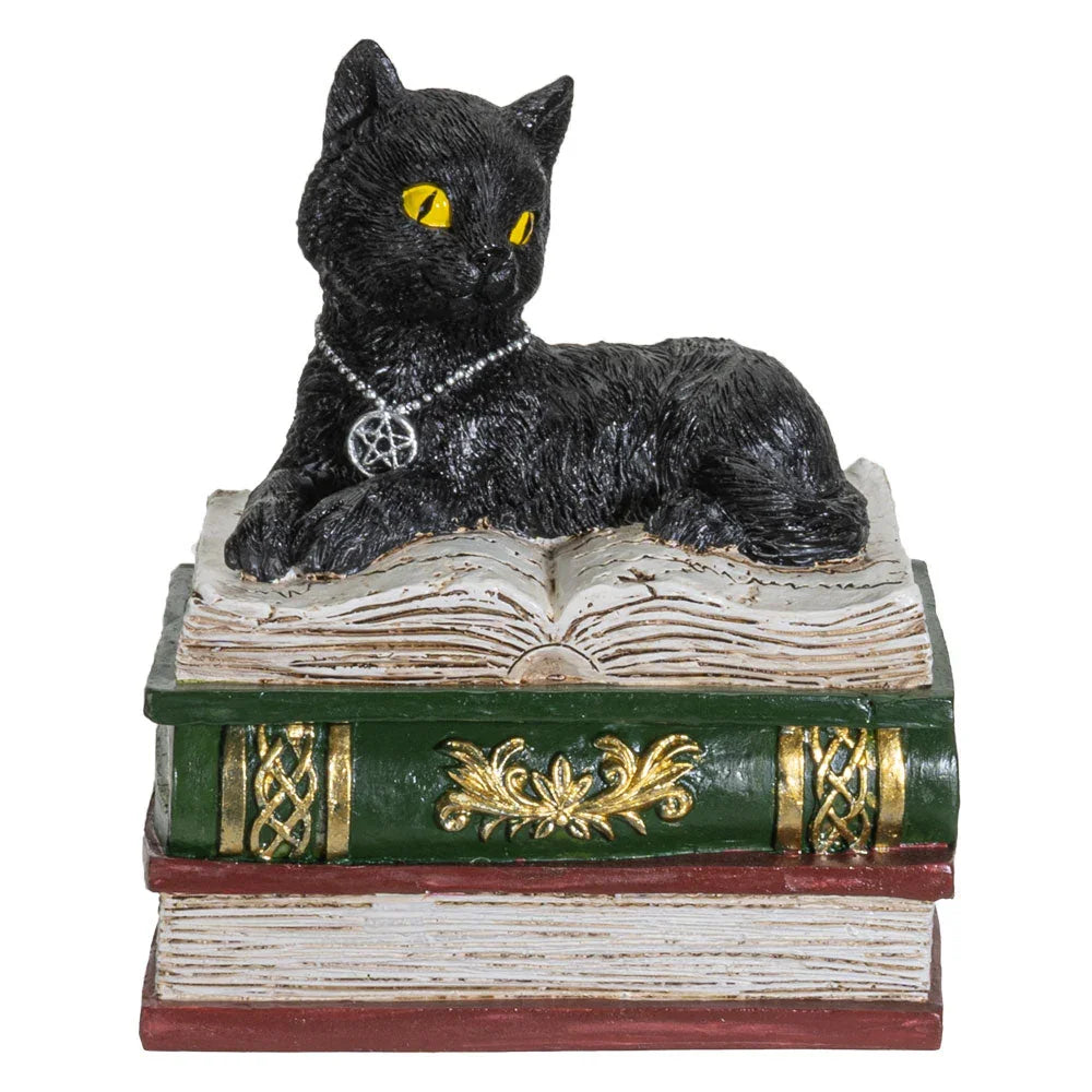 Black cat box with black cat sitting on three books