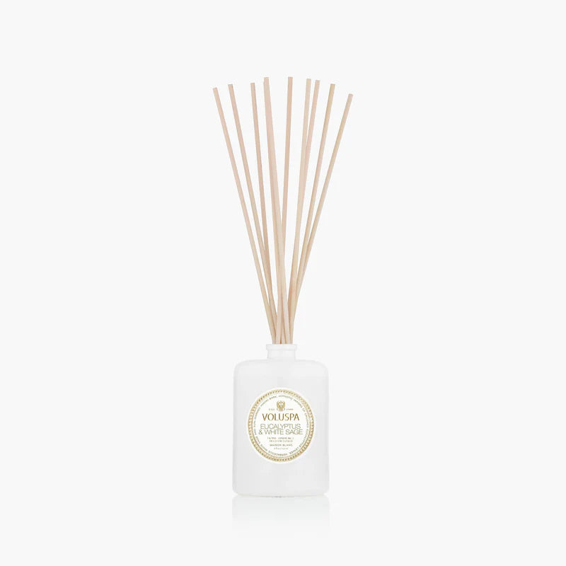 EWS Reed 4