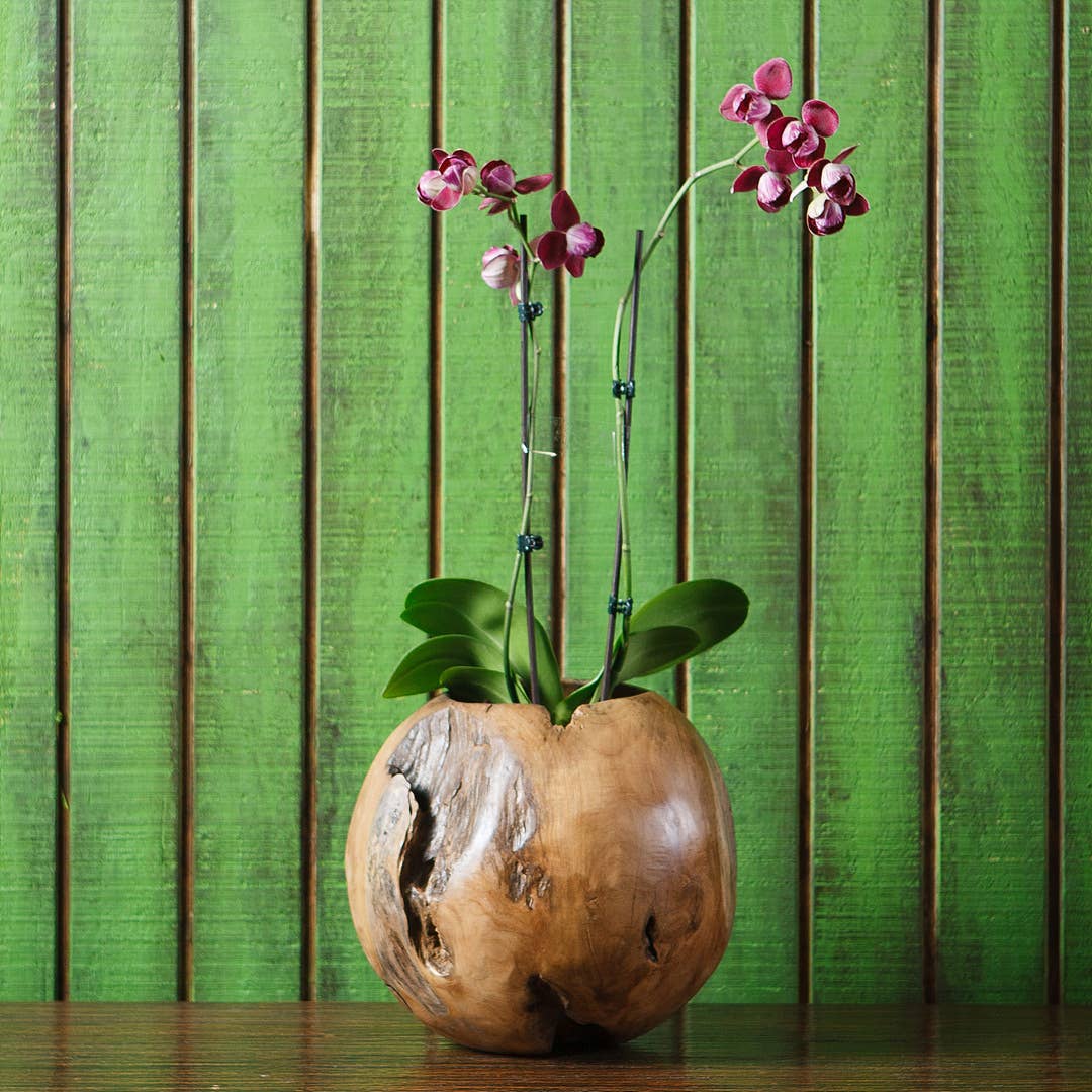 Carved Teak Ball Pot Large