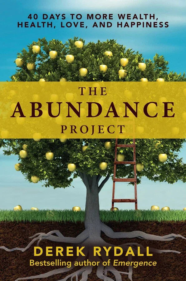 The Abundance Project Book
