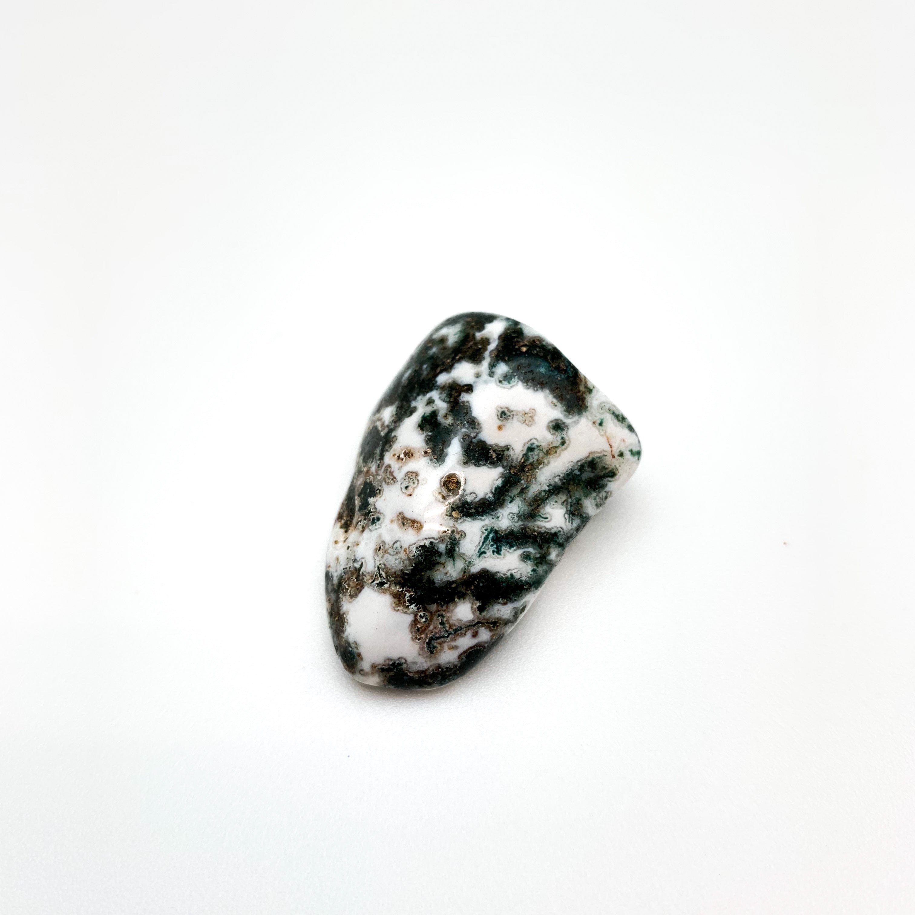 Agate Tree Tumbled Pocket Stone