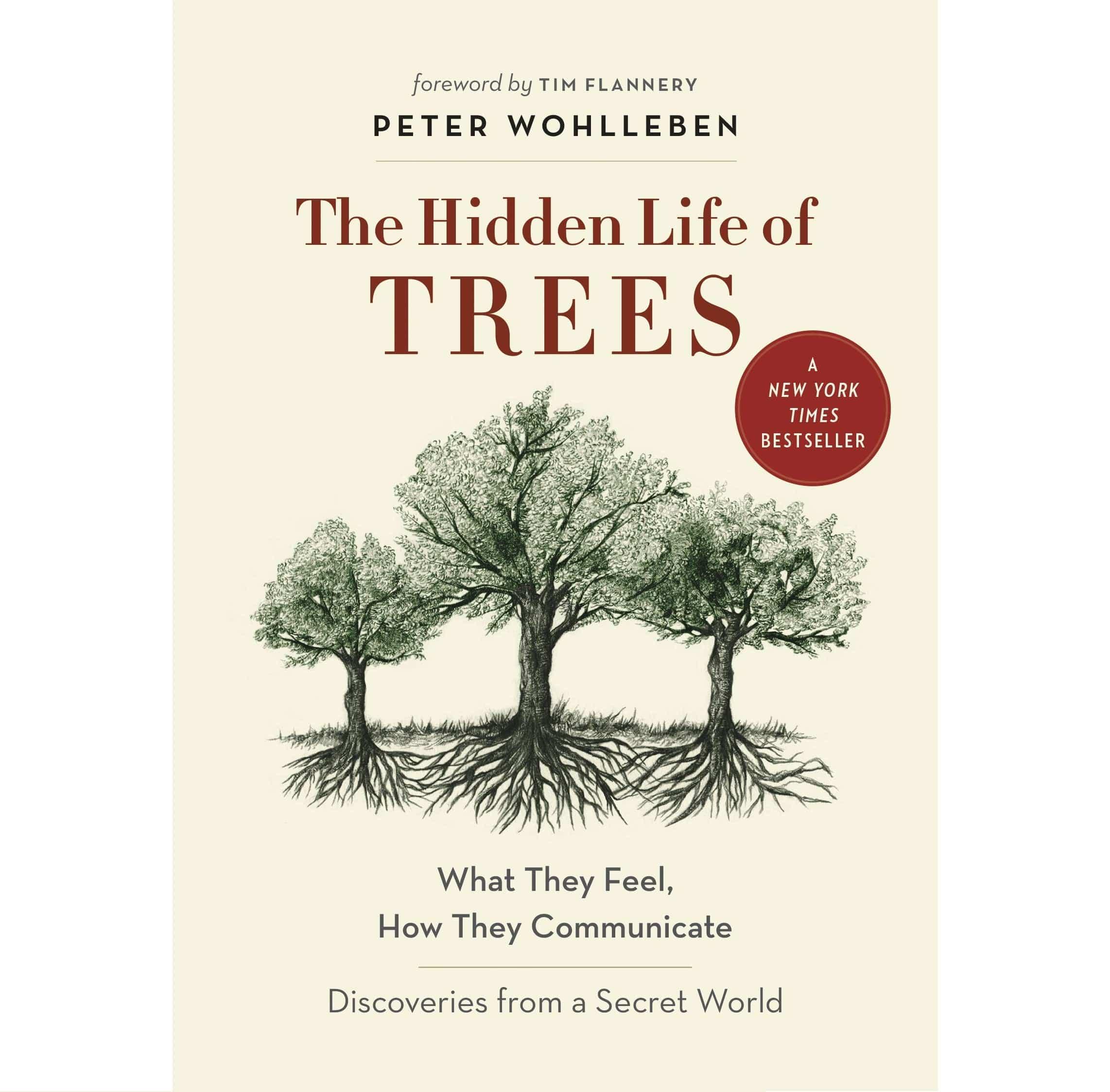 Hidden Life of Trees