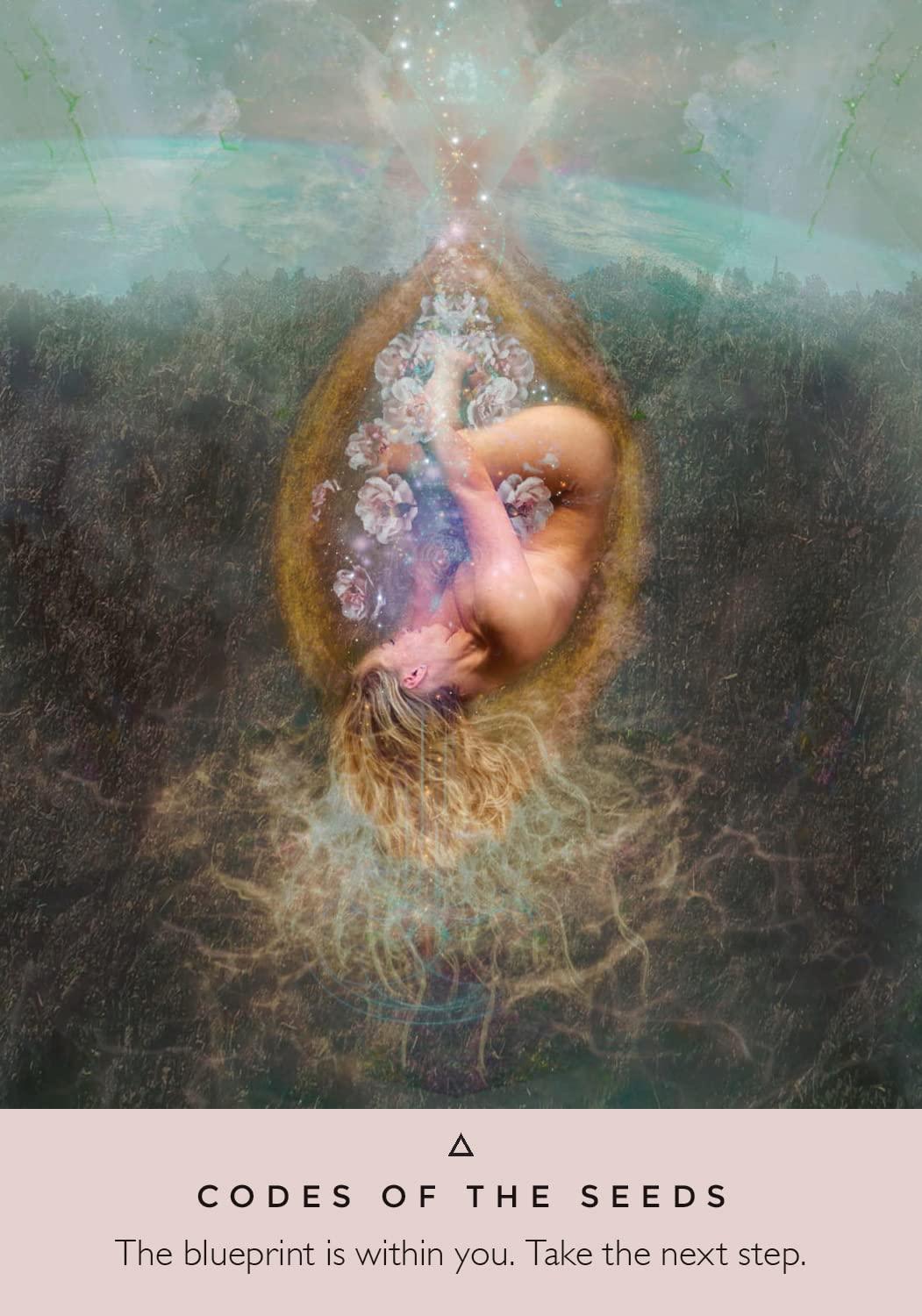 Rose Oracle Card 1