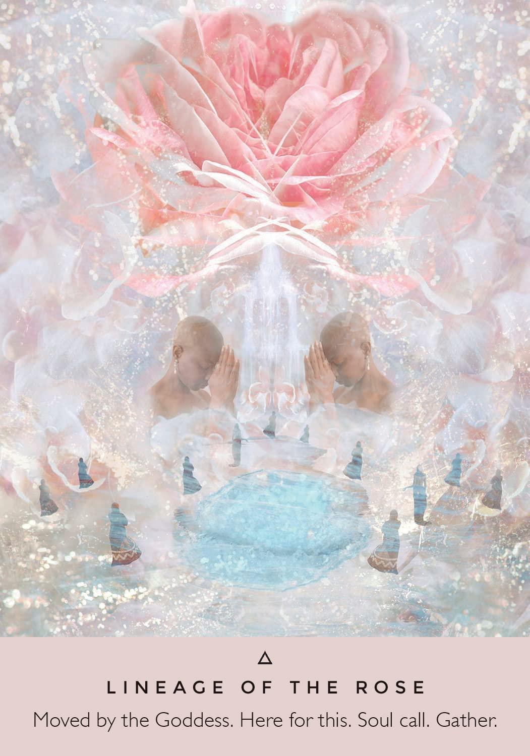 Rose Oracle Card 2