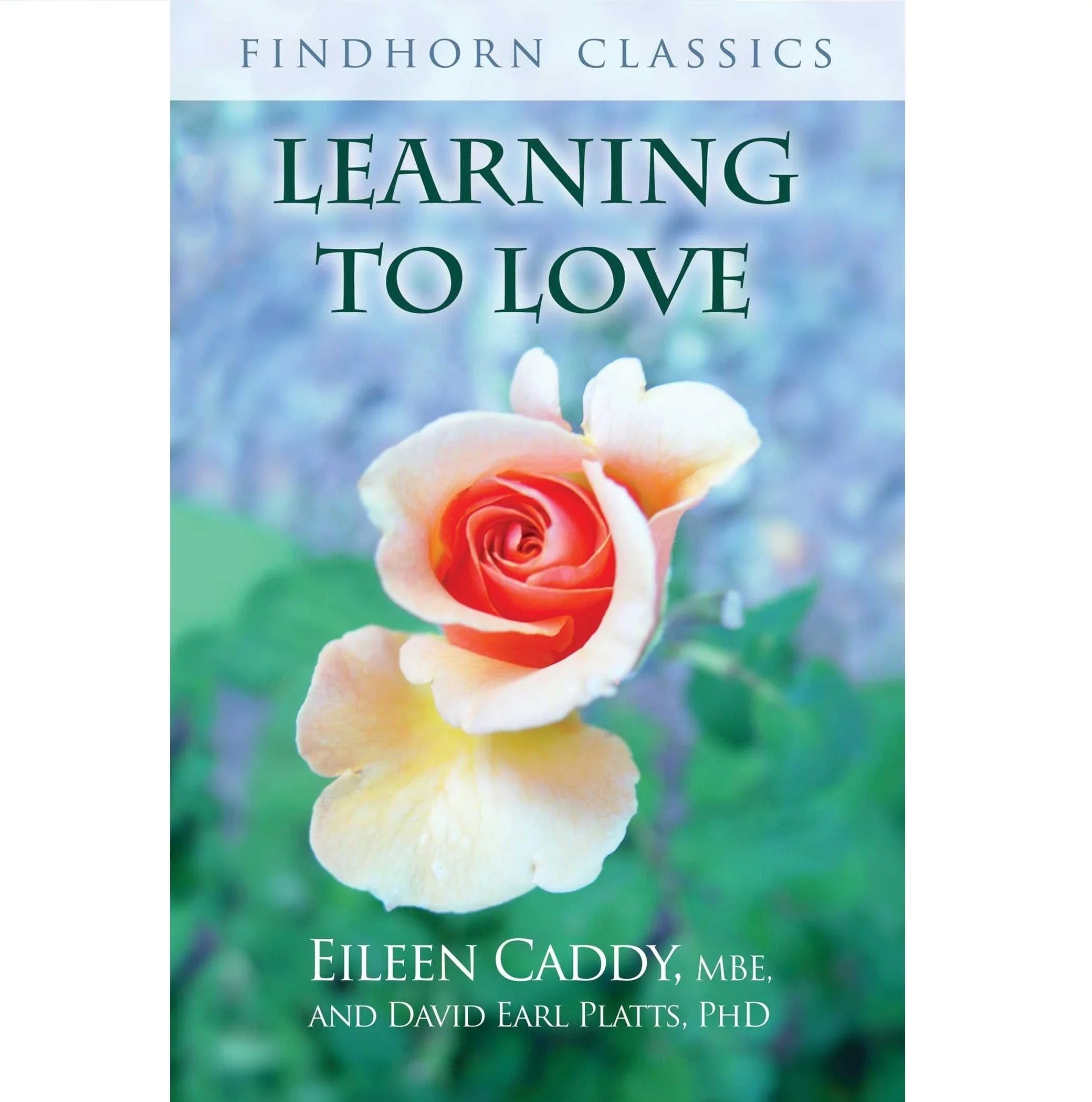 Learning to Love