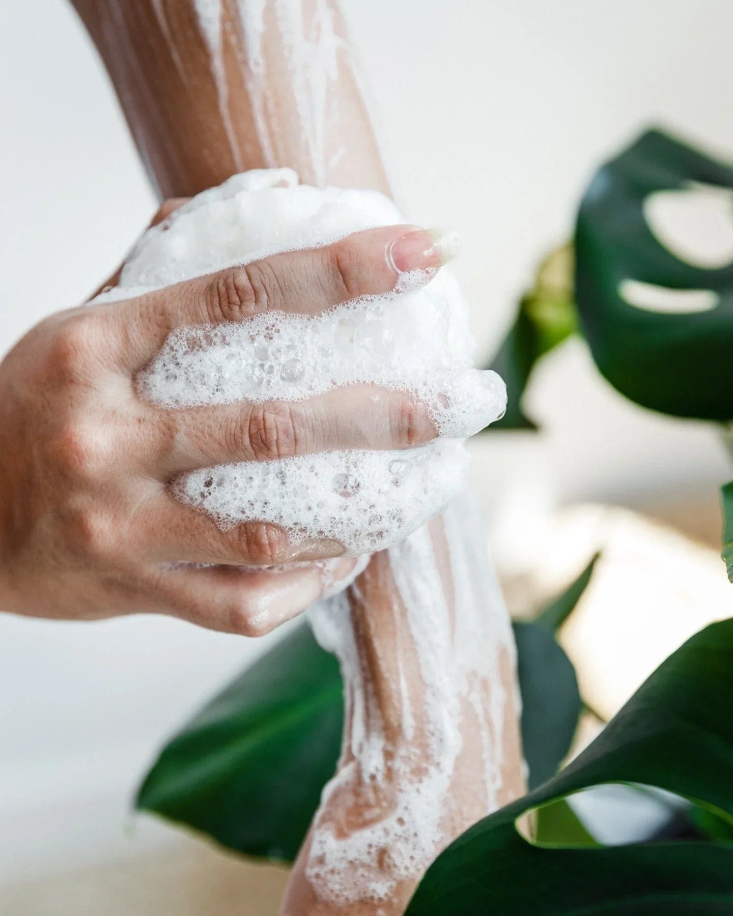 Body Wash Infused Spongette Buffer in Papaya Yuzu