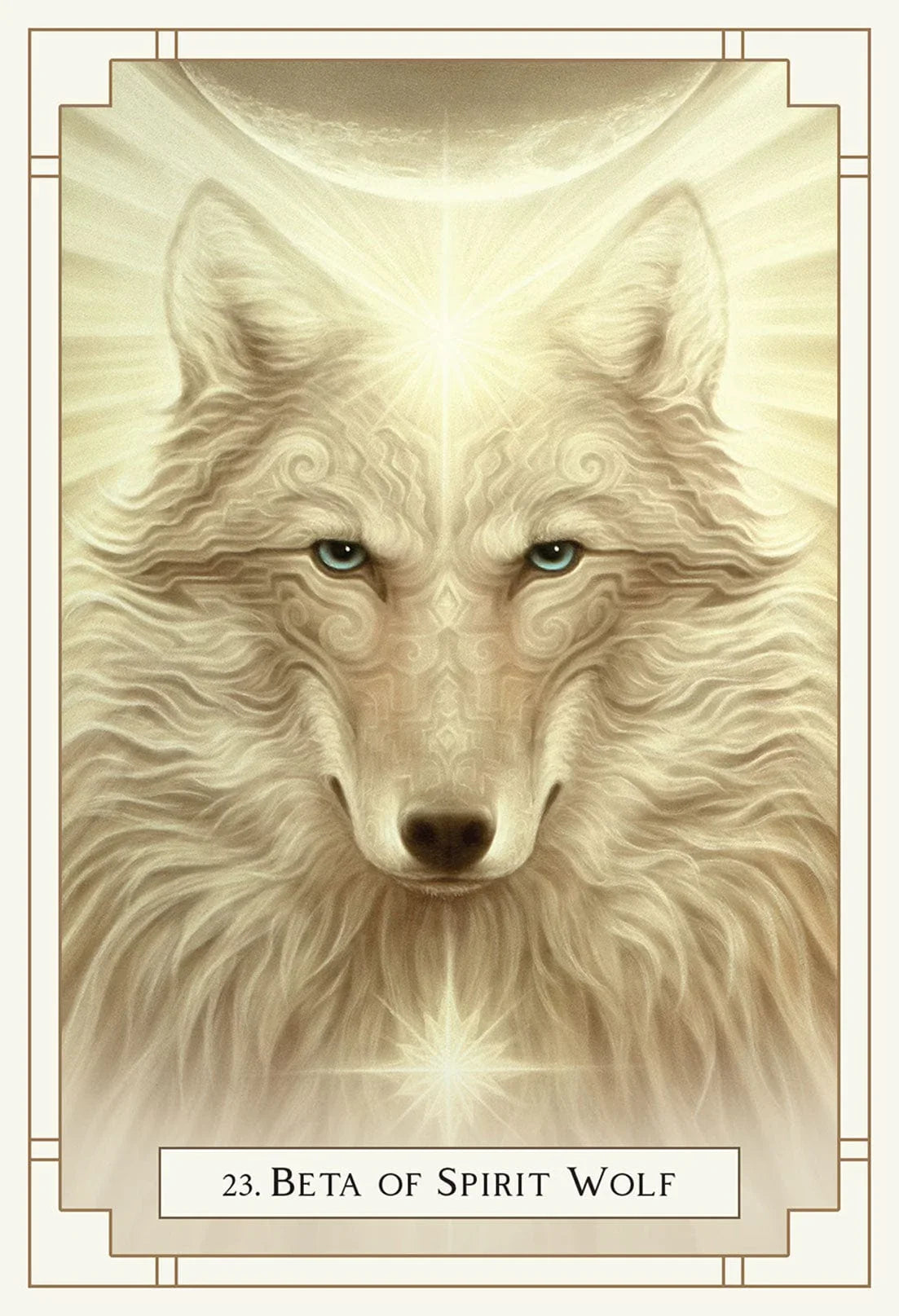 White Light Oracle - Body Mind & Soul