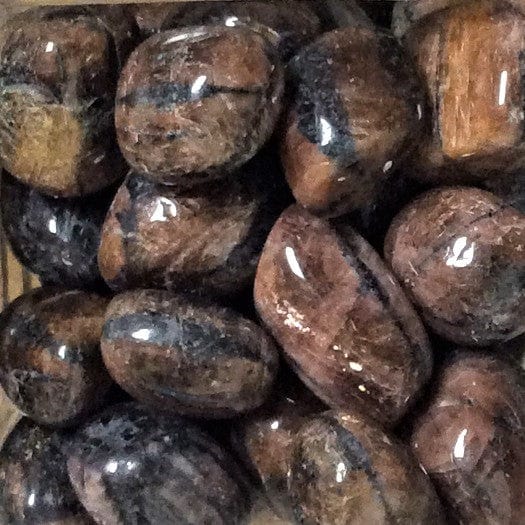 Chiastolite Tumbled Stones Group