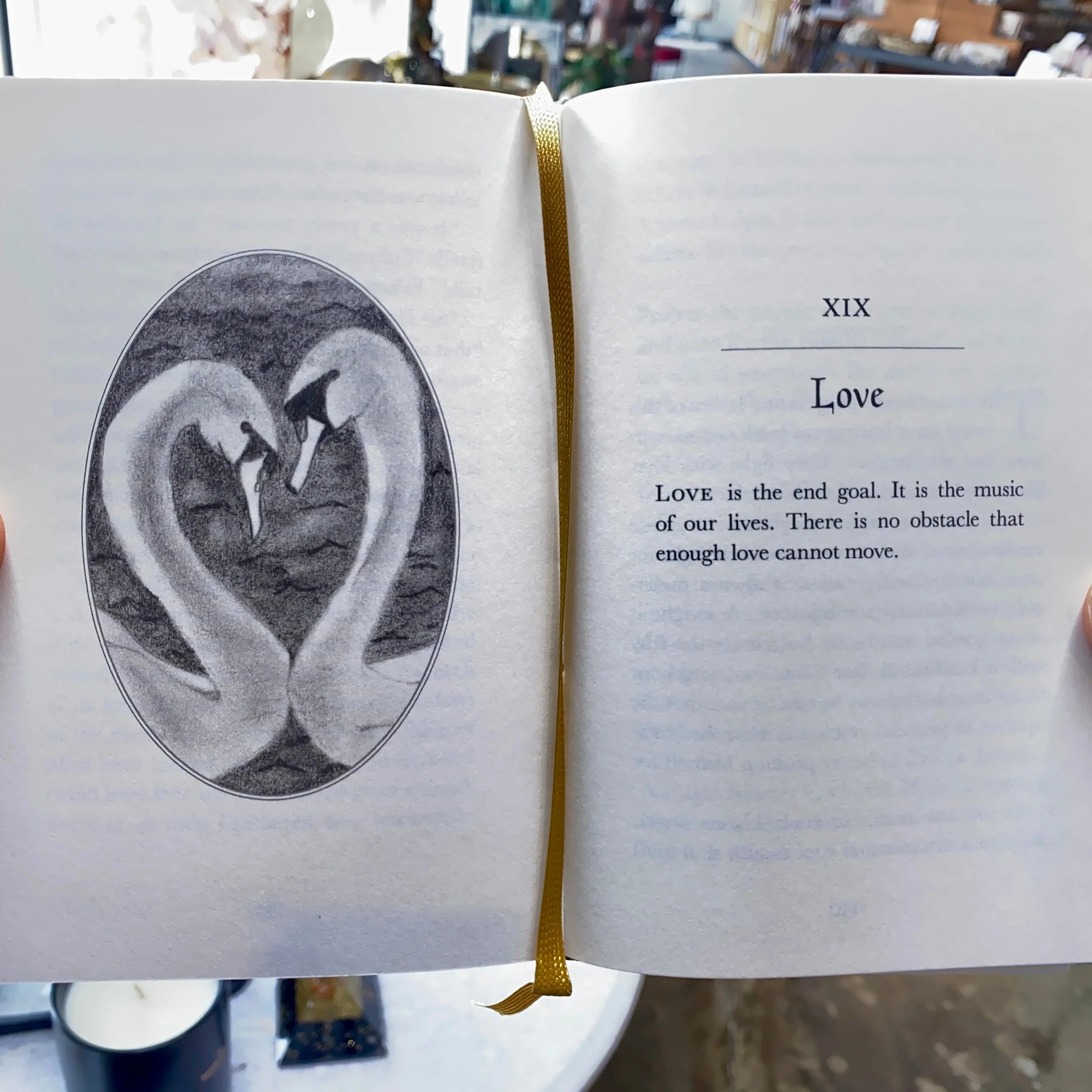 Page Shown Rules For A Knight Book by Ethan Hawke