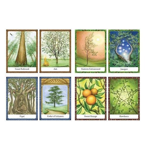 Wisdom of Trees Oracle - Body Mind & Soul