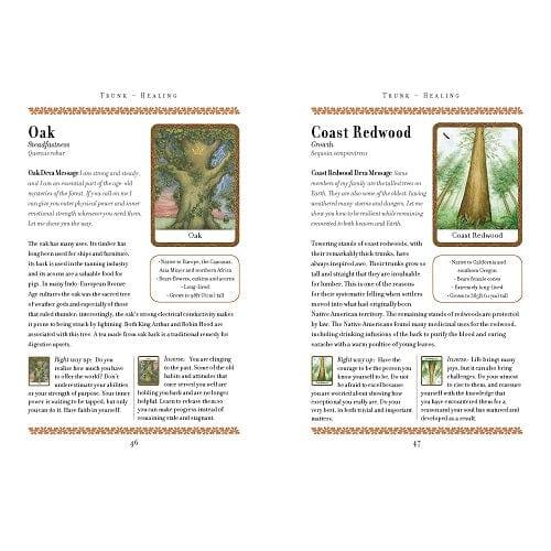 Wisdom of Trees Oracle - Body Mind & Soul