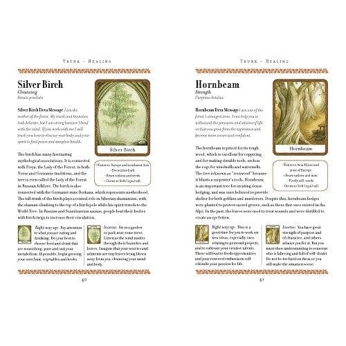 Wisdom of Trees Oracle - Body Mind & Soul